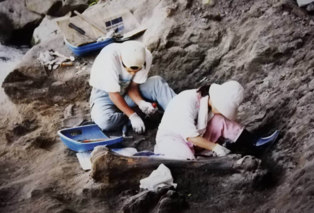 博物館勤務時代、九州の大分県安心院でゾウの化石を発掘 ー 糸田恵子さん提供